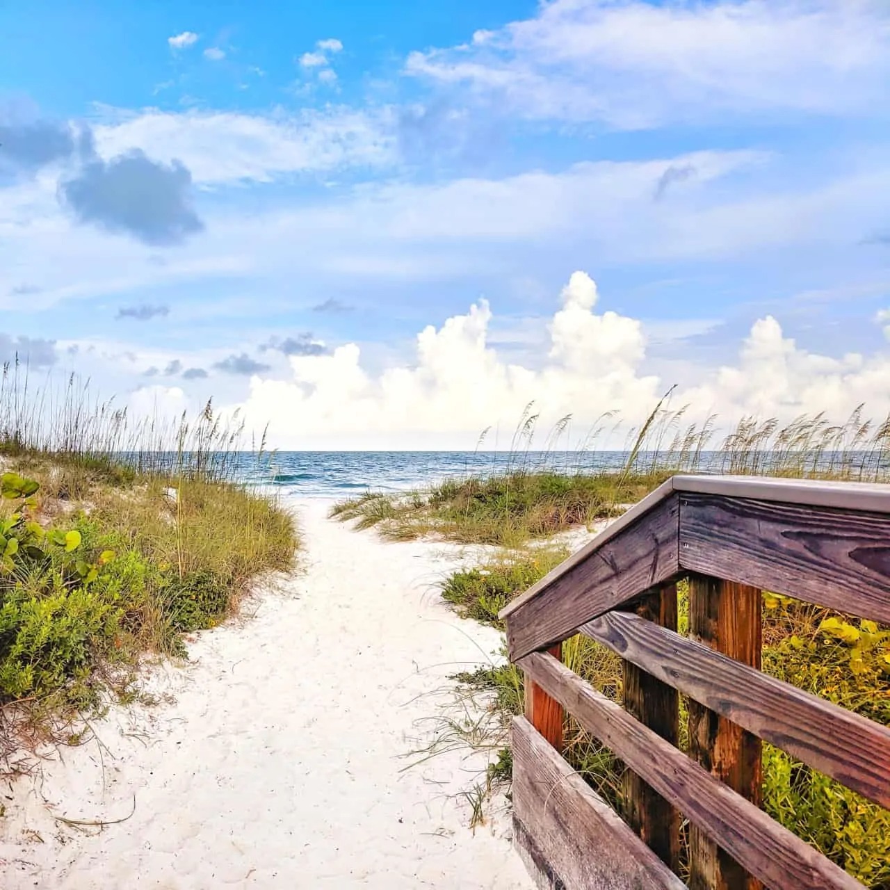 Why Choose Ensenada Del Sol and Bradenton